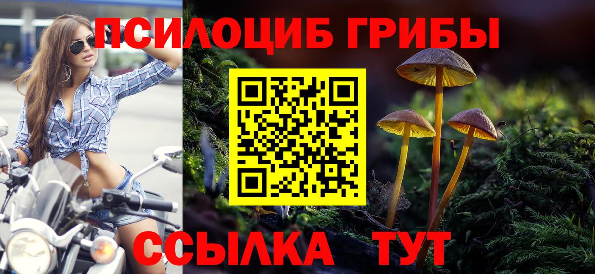 Псилоцибиновые грибы Magic Shrooms  Вход с VPN  Вязники 